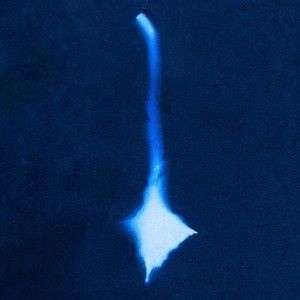 Meet your Posher, Virtu